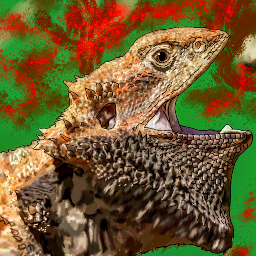 Illustration of a reptile in front of a green and red background