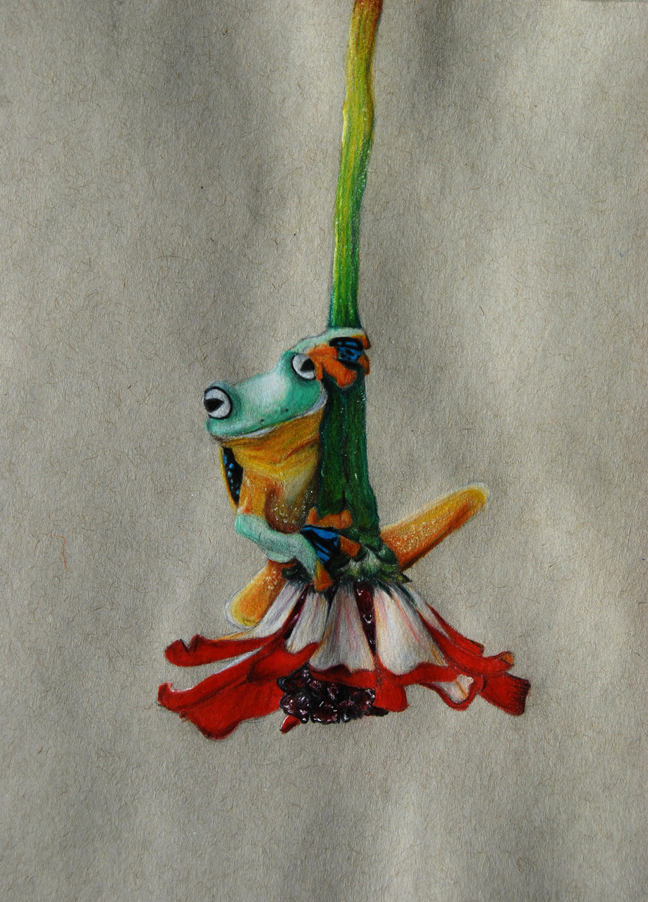 frog clings to flower upside down