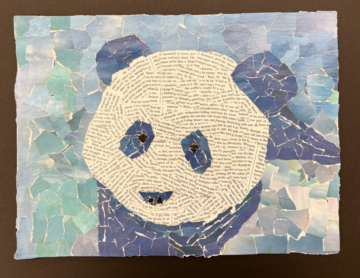 Collage of a panda