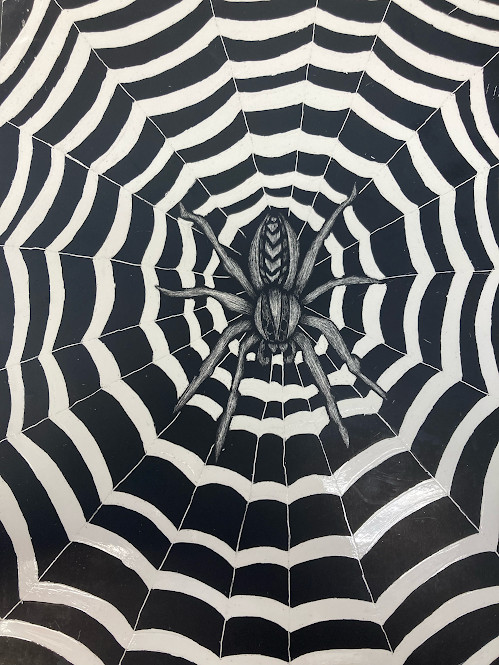 Scratchboard of wolf spider in the center of black & white concentric web shapes