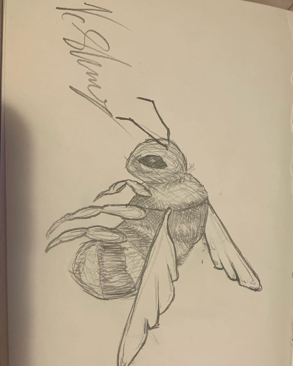 Pencil drawing of a bee