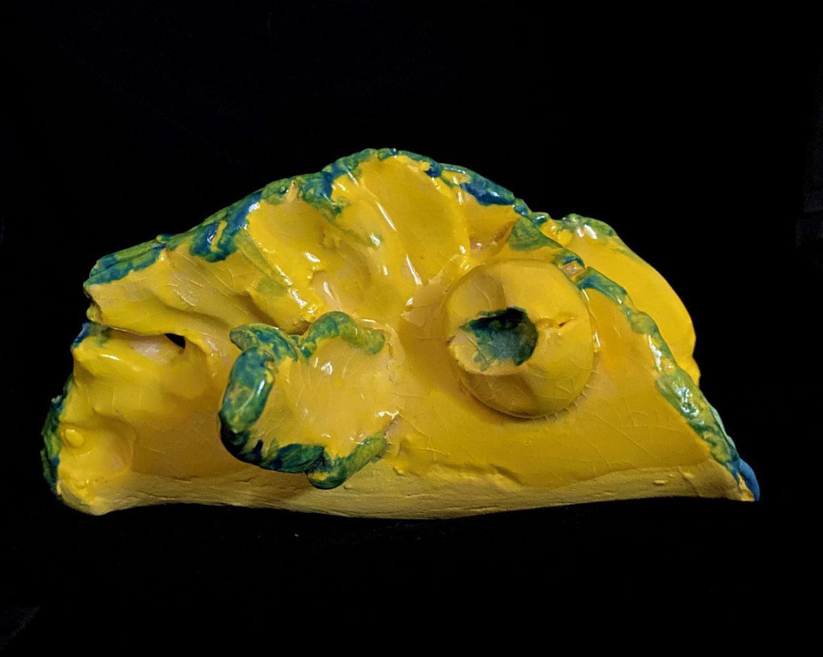 Yellow fish that looks like a taco