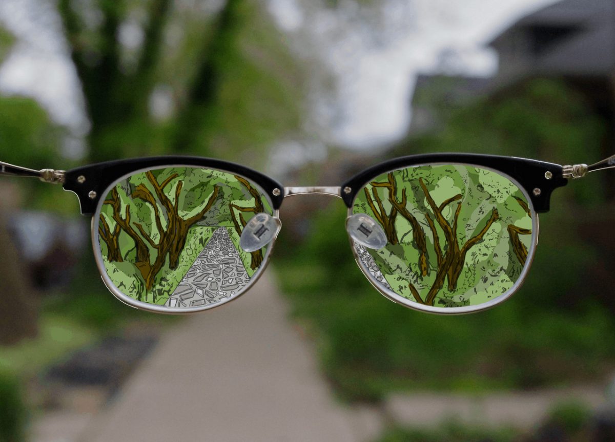 Photo of eyeglasses in front of sidewalk & trees. We are looking through the glasses to see the scene as a digital drawing