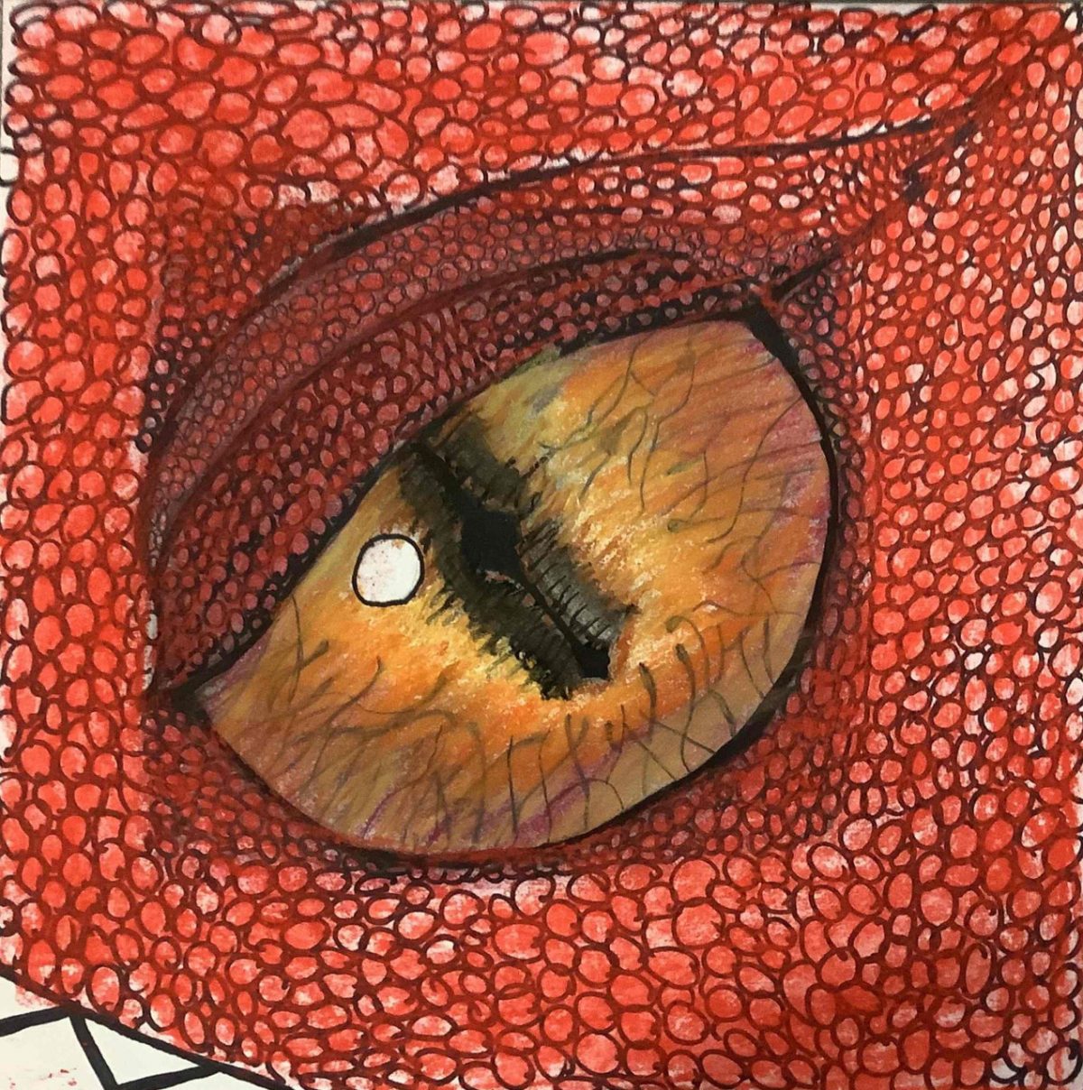 Close up drawing of a creature's eye