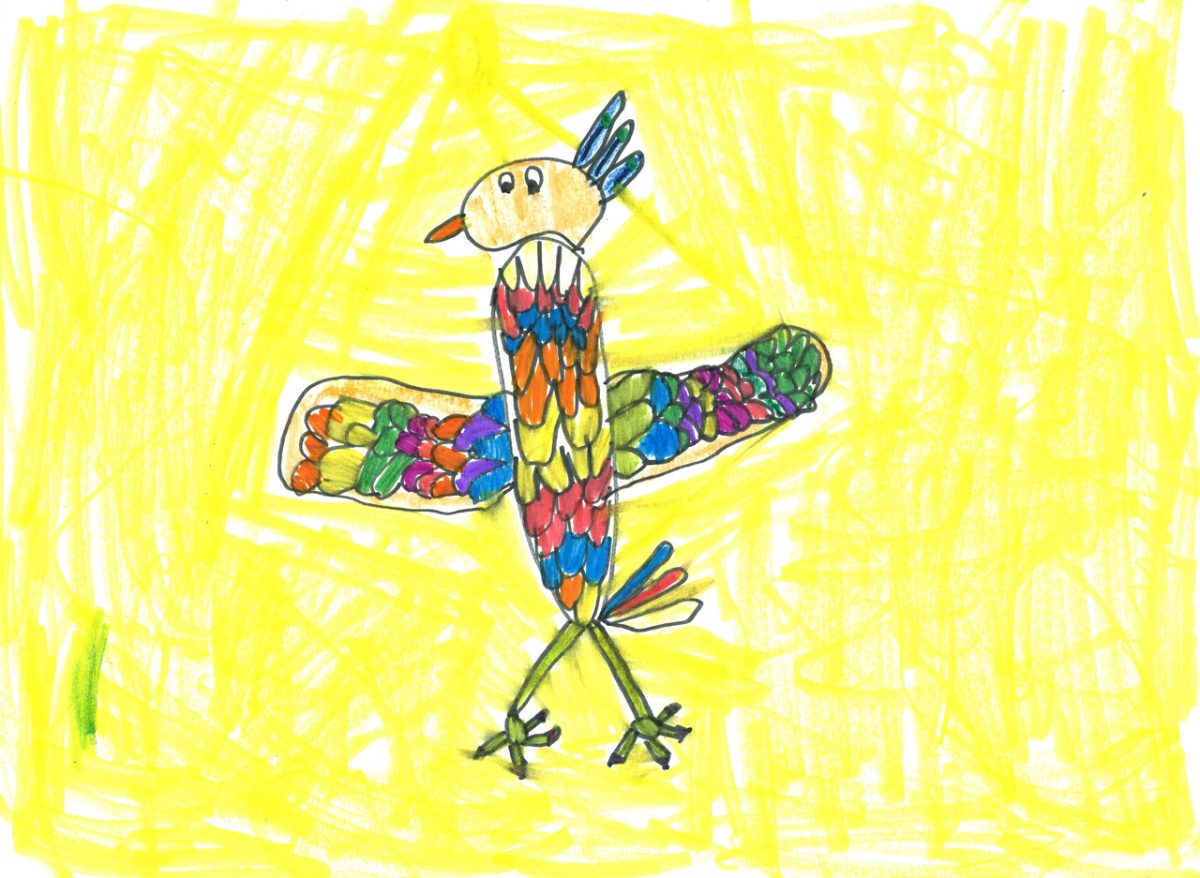 A drawing of a bird with colorful feathers and a yellow background