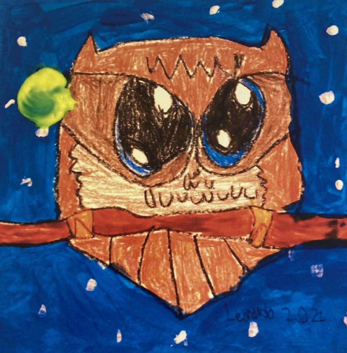 A brown owl with really big eyes on a blue night sky background