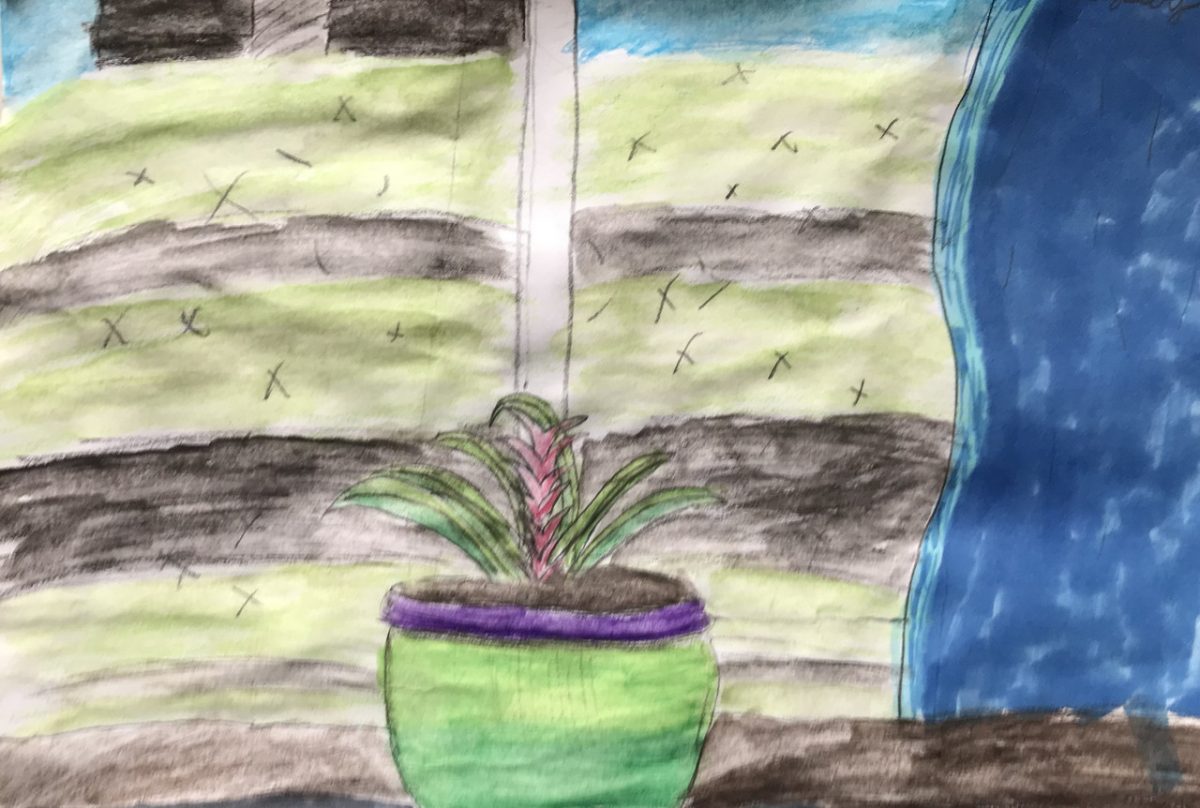 Painting of a plant with a pink flower in a pot in front of a window