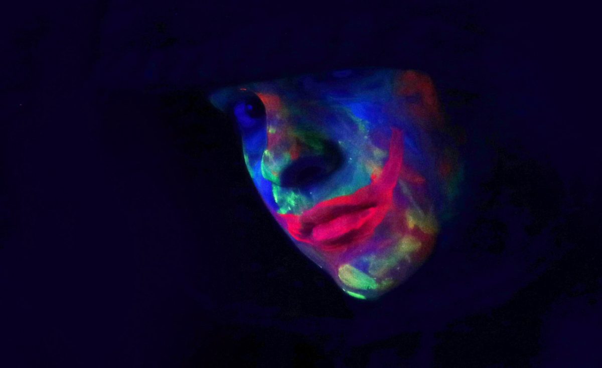 Colorful portrait of a person
