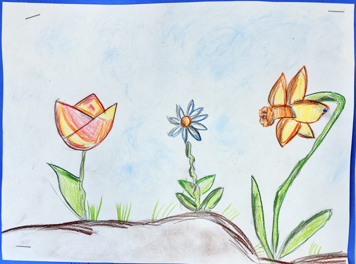 colored pencil flowers on ground