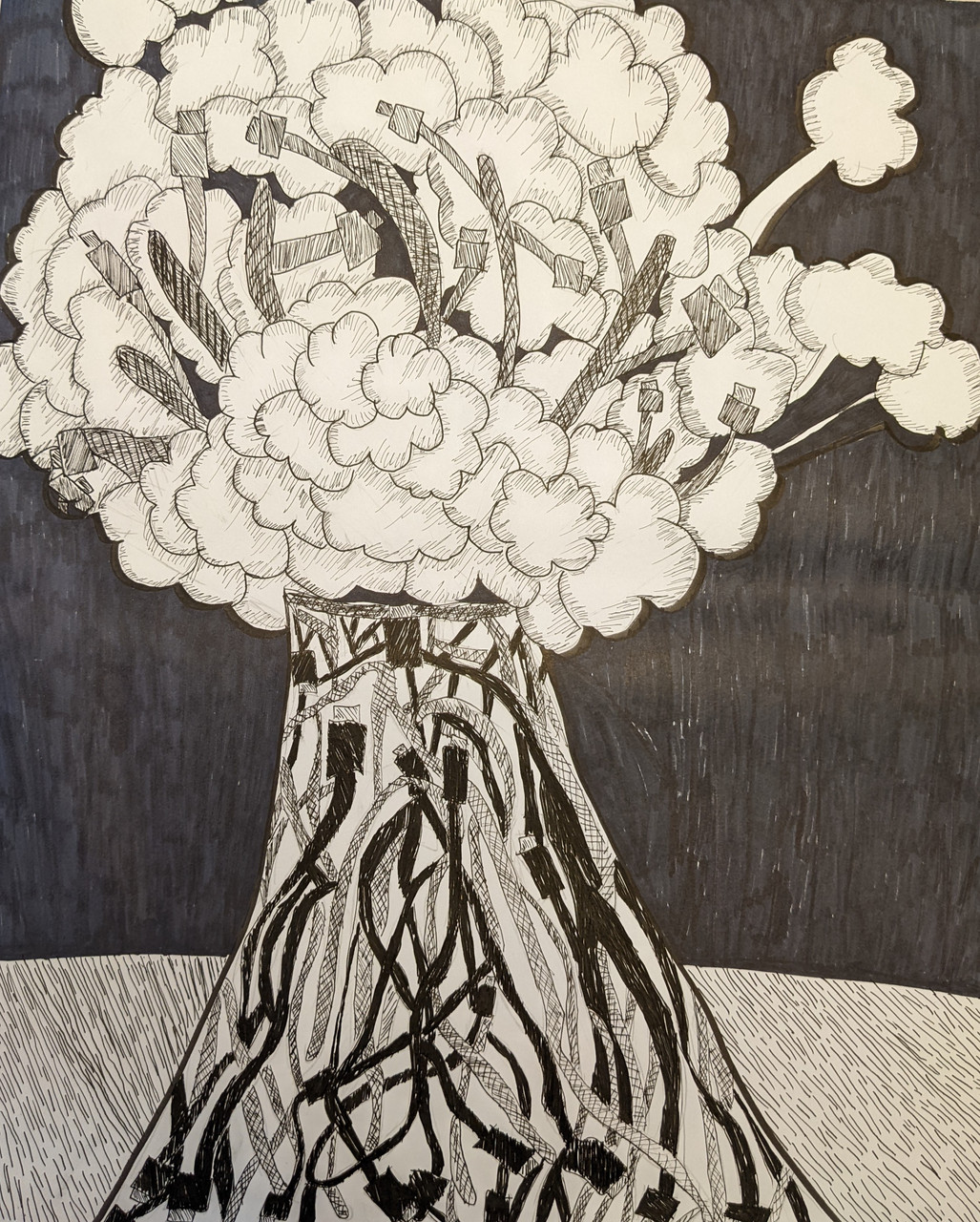 pen drawing of flowers
