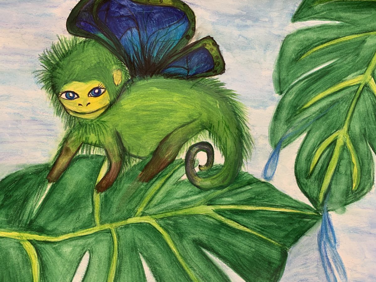 monkey on leaf with butterfly wings