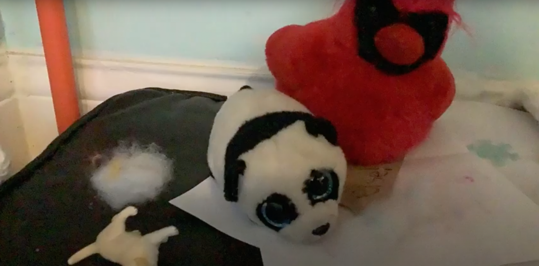 Photo of stuffed animals: Bird and Panda