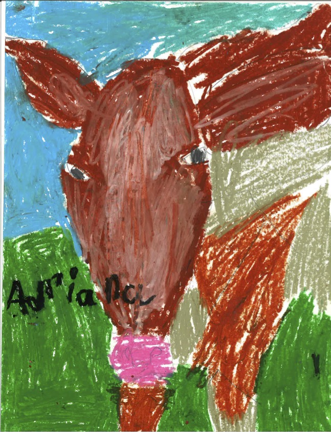An oil pastel drawing of a cow