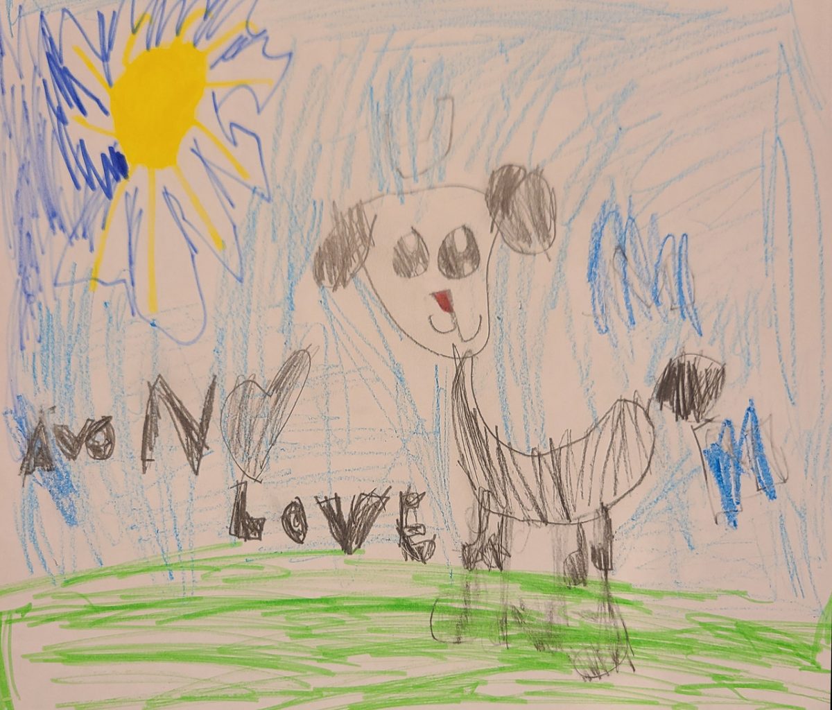 colored pencil drawing of a black and white dog playing in a sunny field