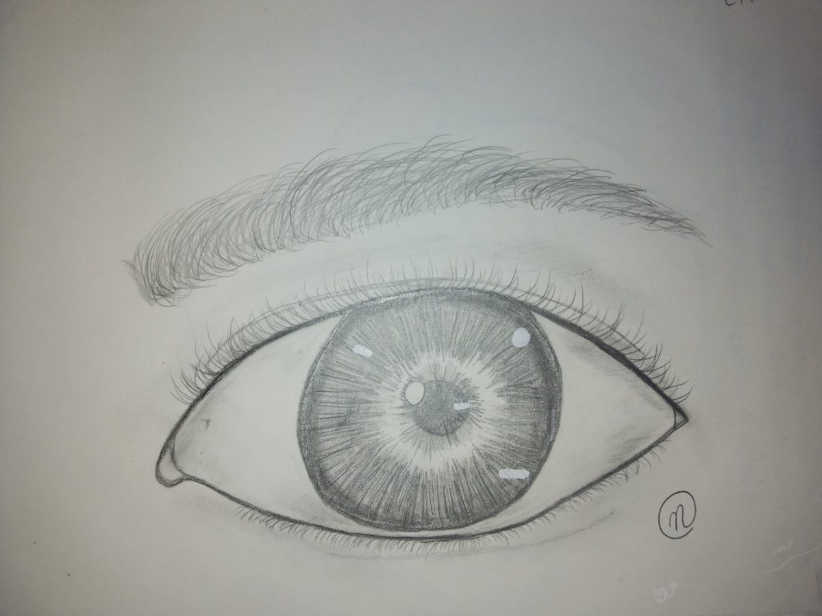 up close pencil drawing of an eye