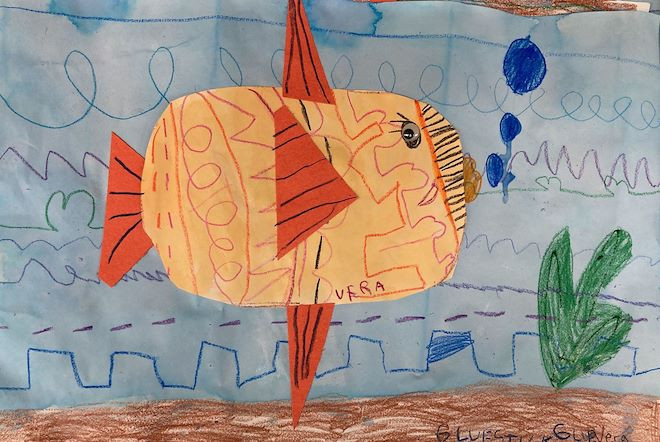 Orange fish in a blue ocean