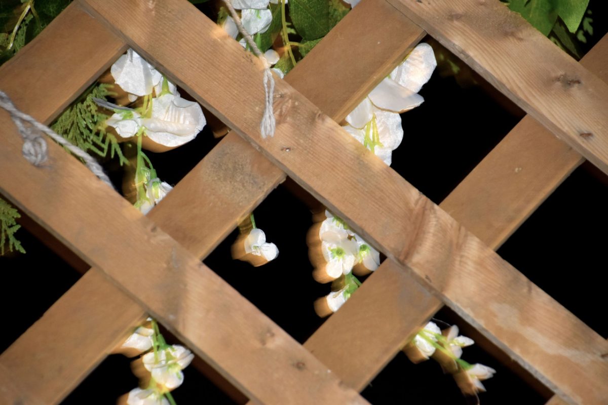 Photo of wooden fence with hanging flowers.