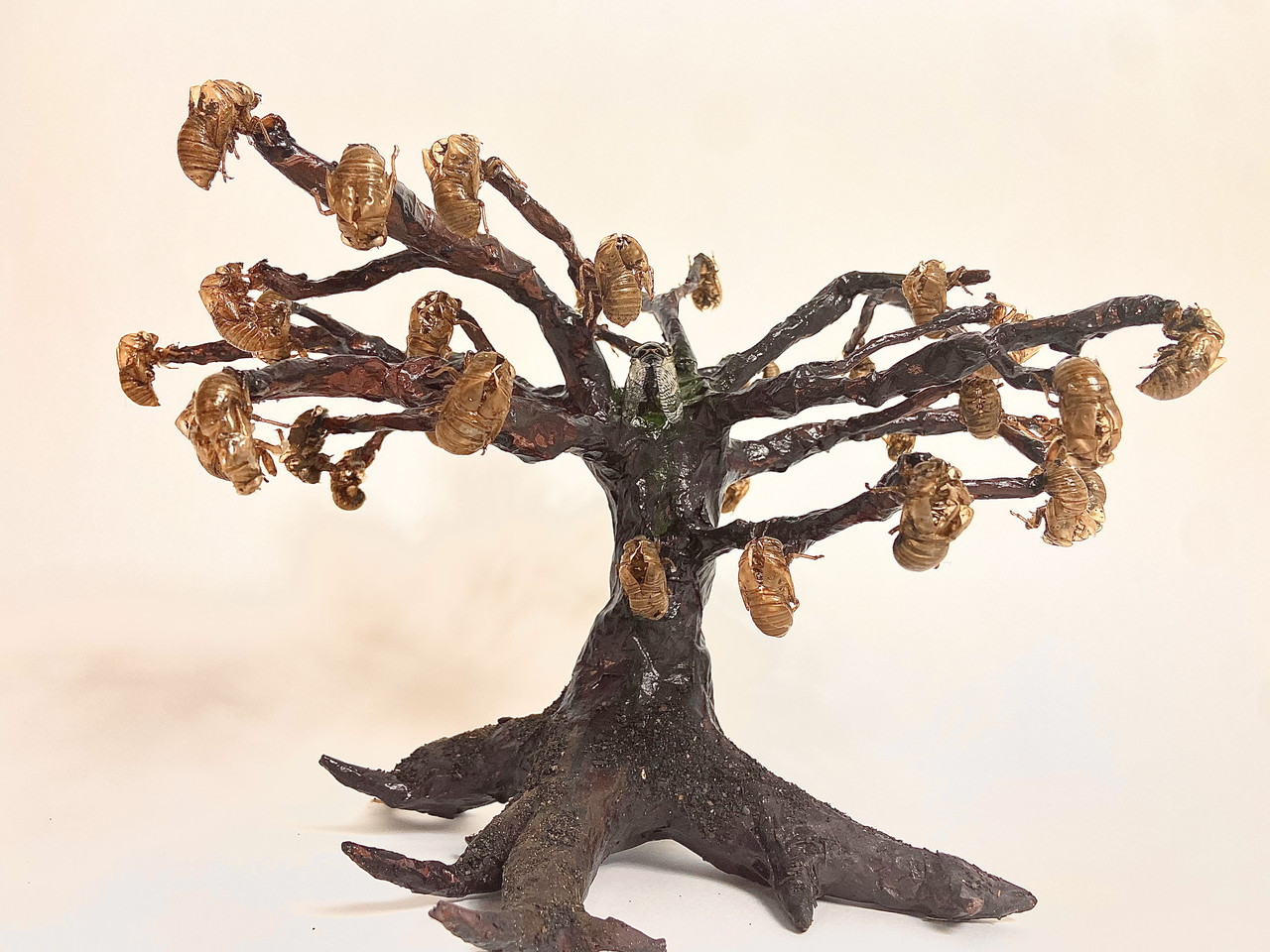 This is a sculpture of a tree with cicada shells.
