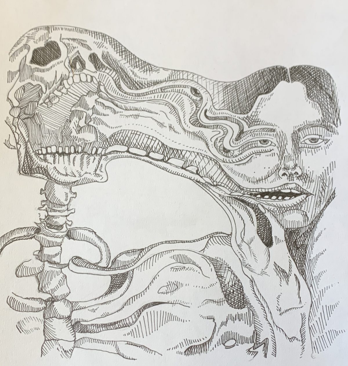 Drawing of a person and a skeleton morphed into one.