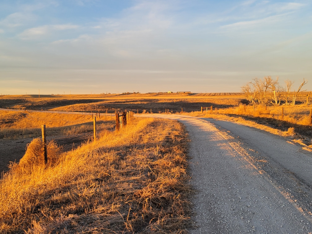 Photograph of a country road