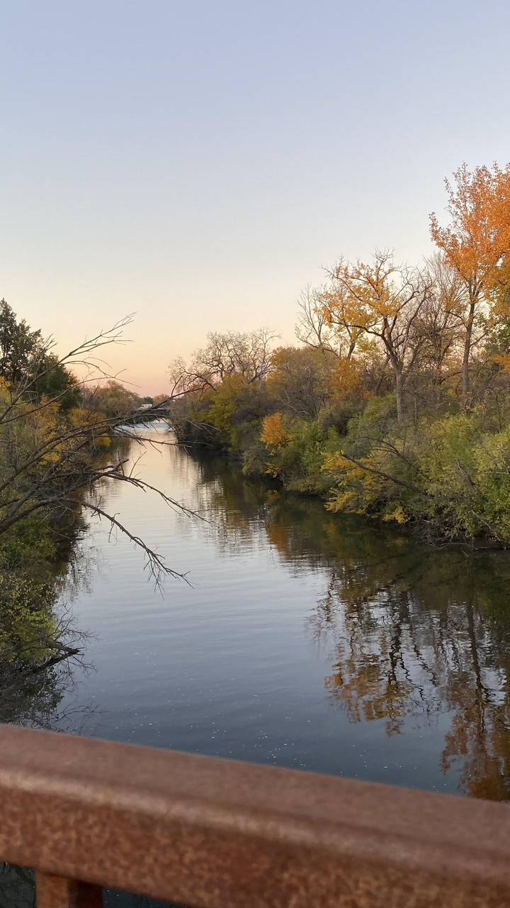 Photo of a river with trees on a bridge.