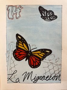 Monarch butterfly and text