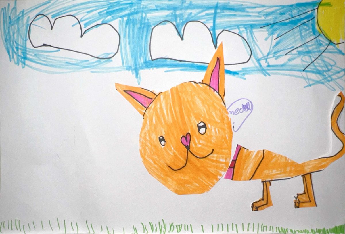 An orange cat stands under a blue sky with white clouds.