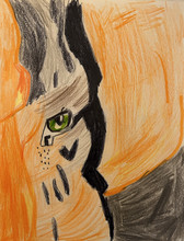 eye of the tiger