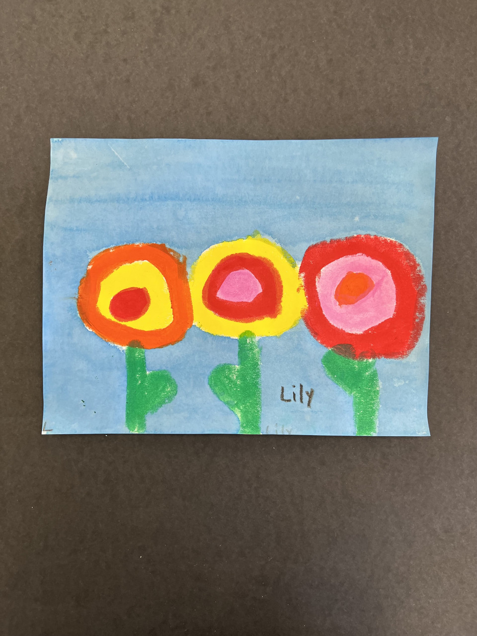 Colorful flowers on a blue background.