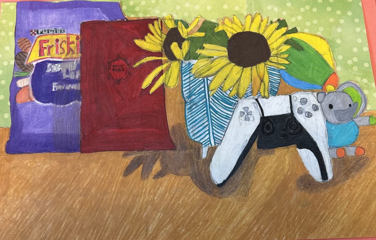 Drawing of numerous household objects.