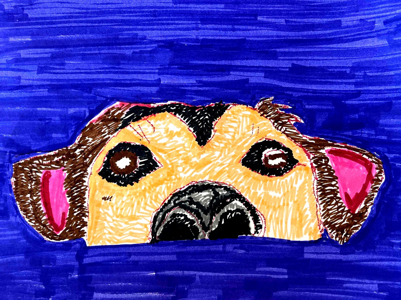 drawing of the top half of a dog's head
