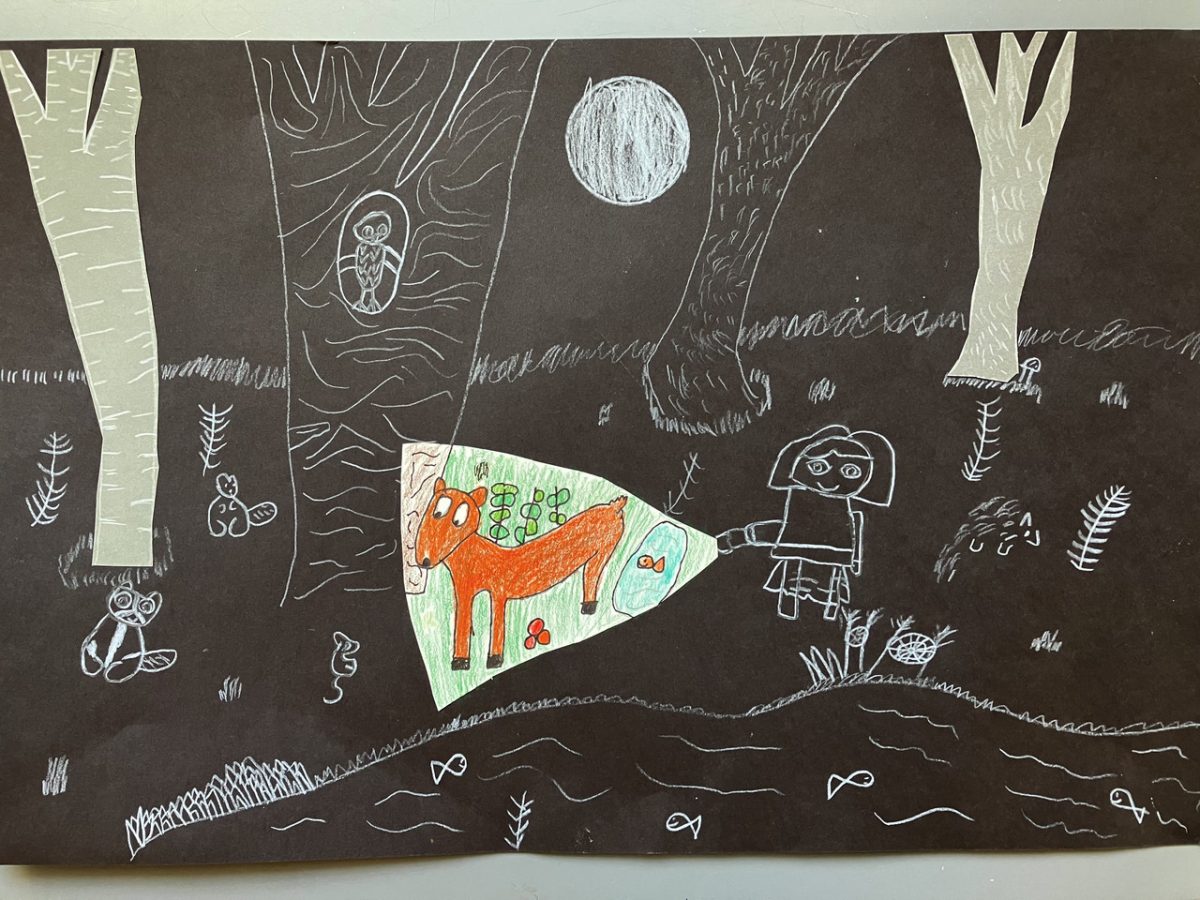 color drawing of a fox in a triangle in a black and white landscape.