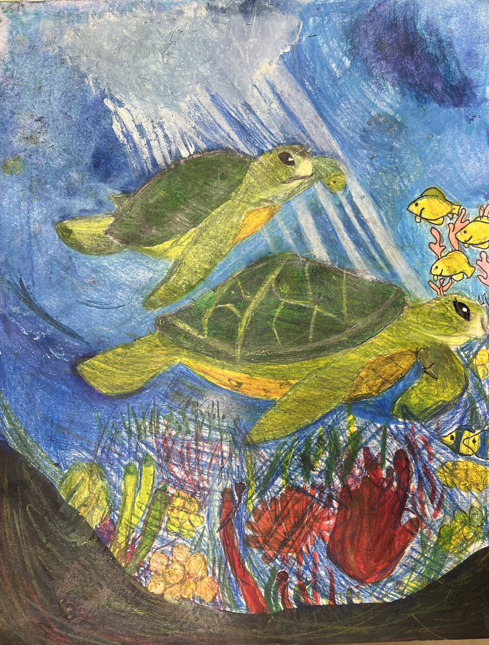 two turtles swimming in blue water.