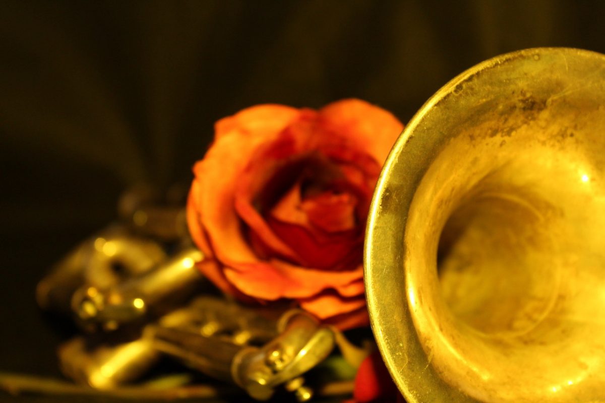 Photo of a trumpet and rose.