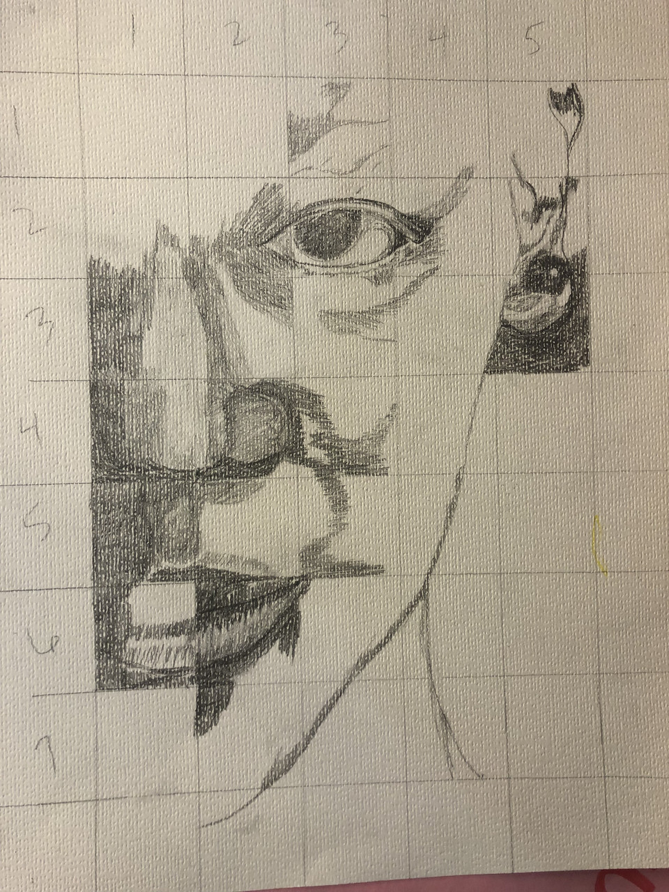 Pencil study of half of a person's face.