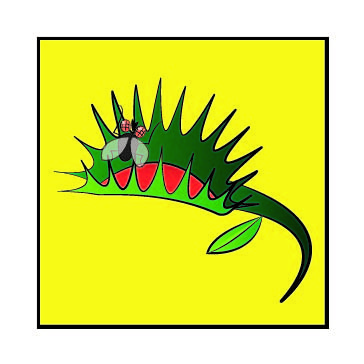 Drawing of a fly trap.