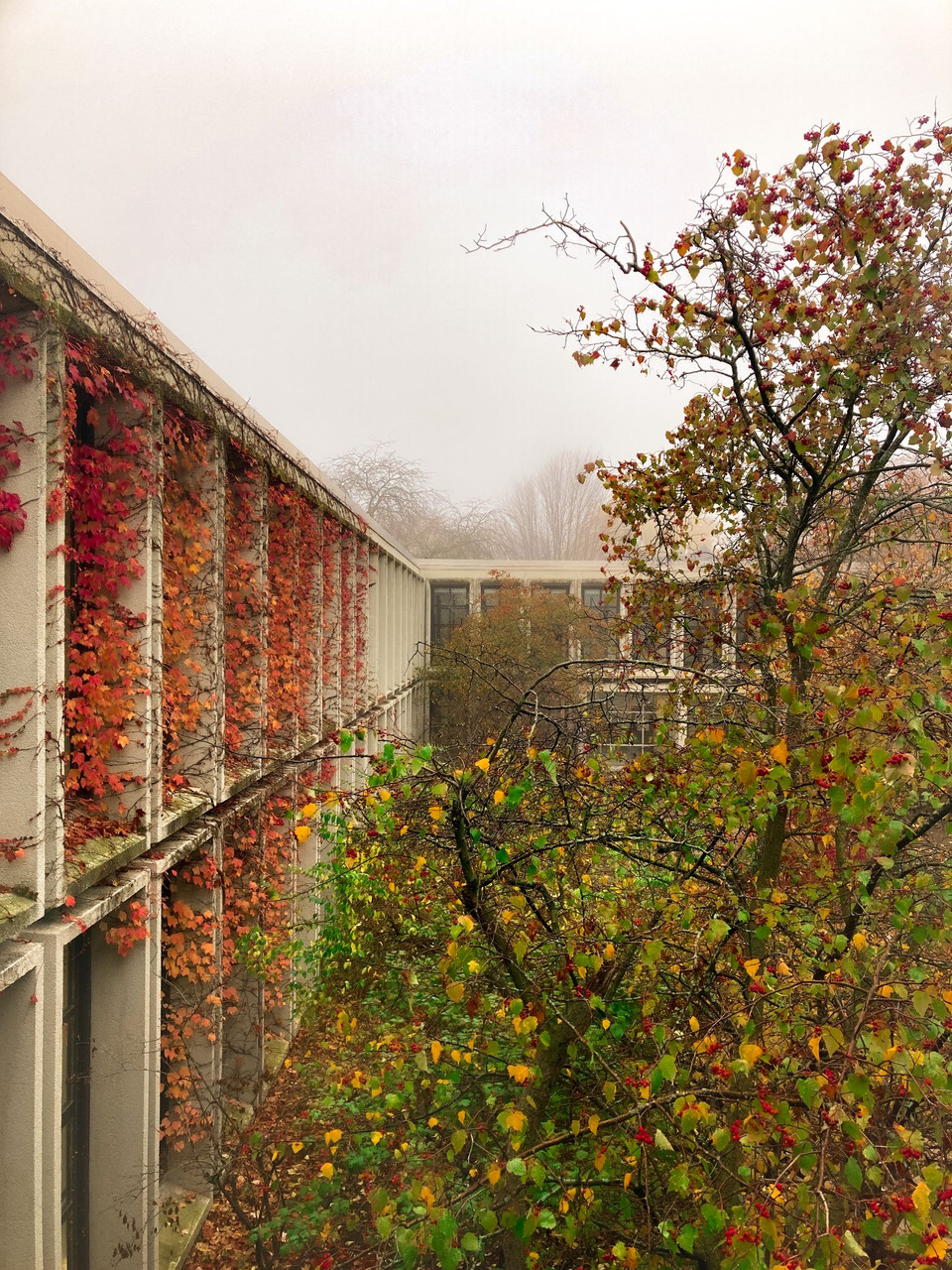 Photo of trees and a building in fall.