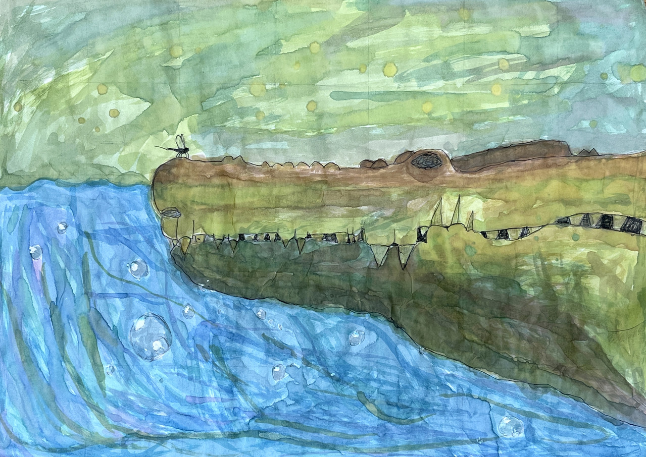 side view of crocodile head