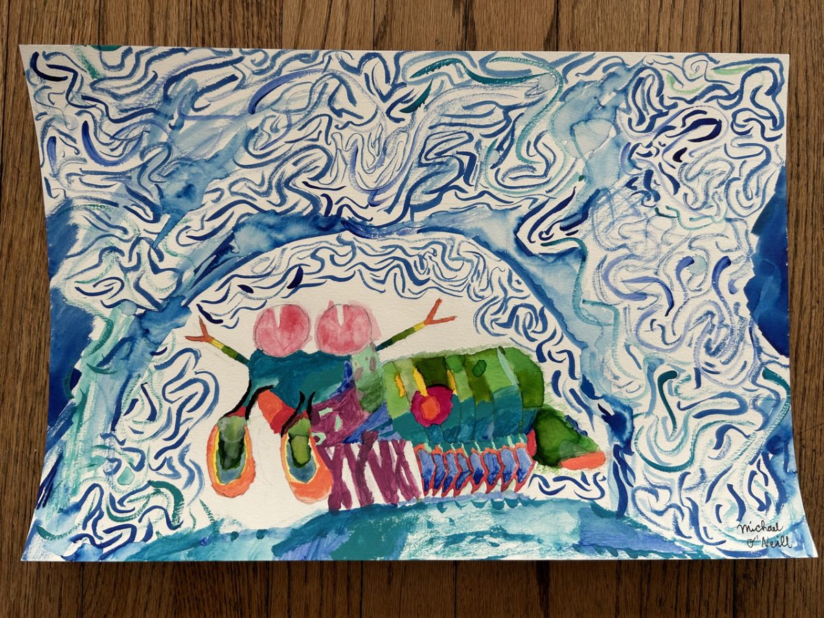 the unknown