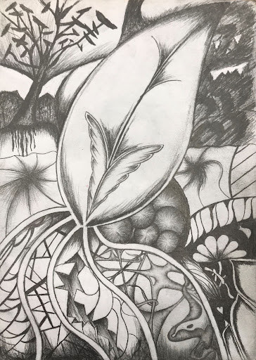 Black and white drawing of leaves.