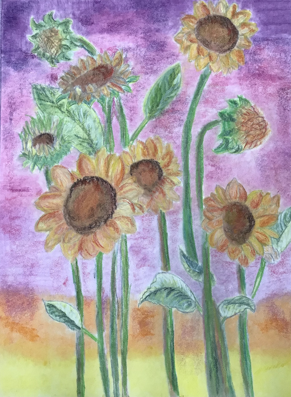 Pastel drawing of sunflowers.