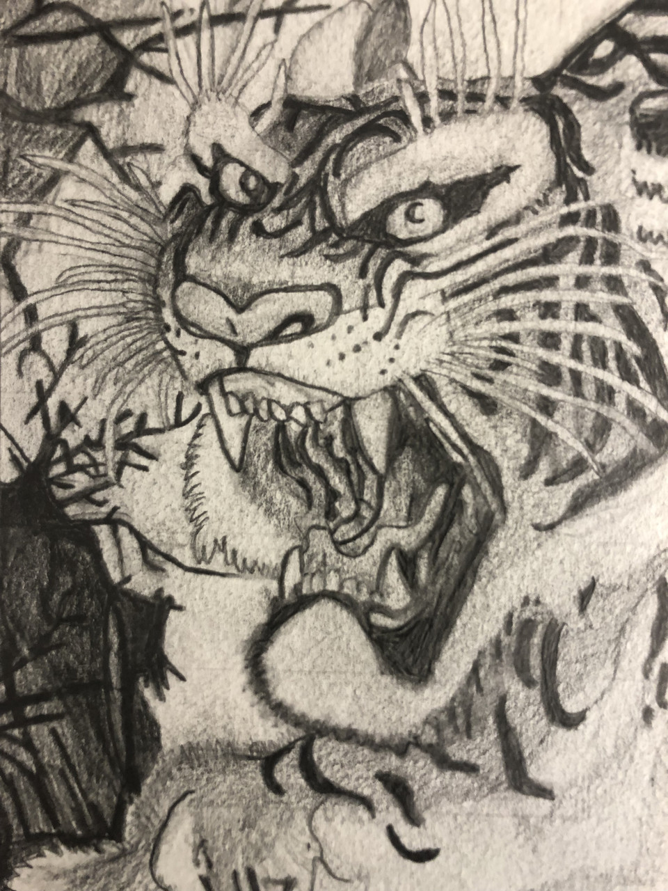 Watercolor and illustration of a tiger.
