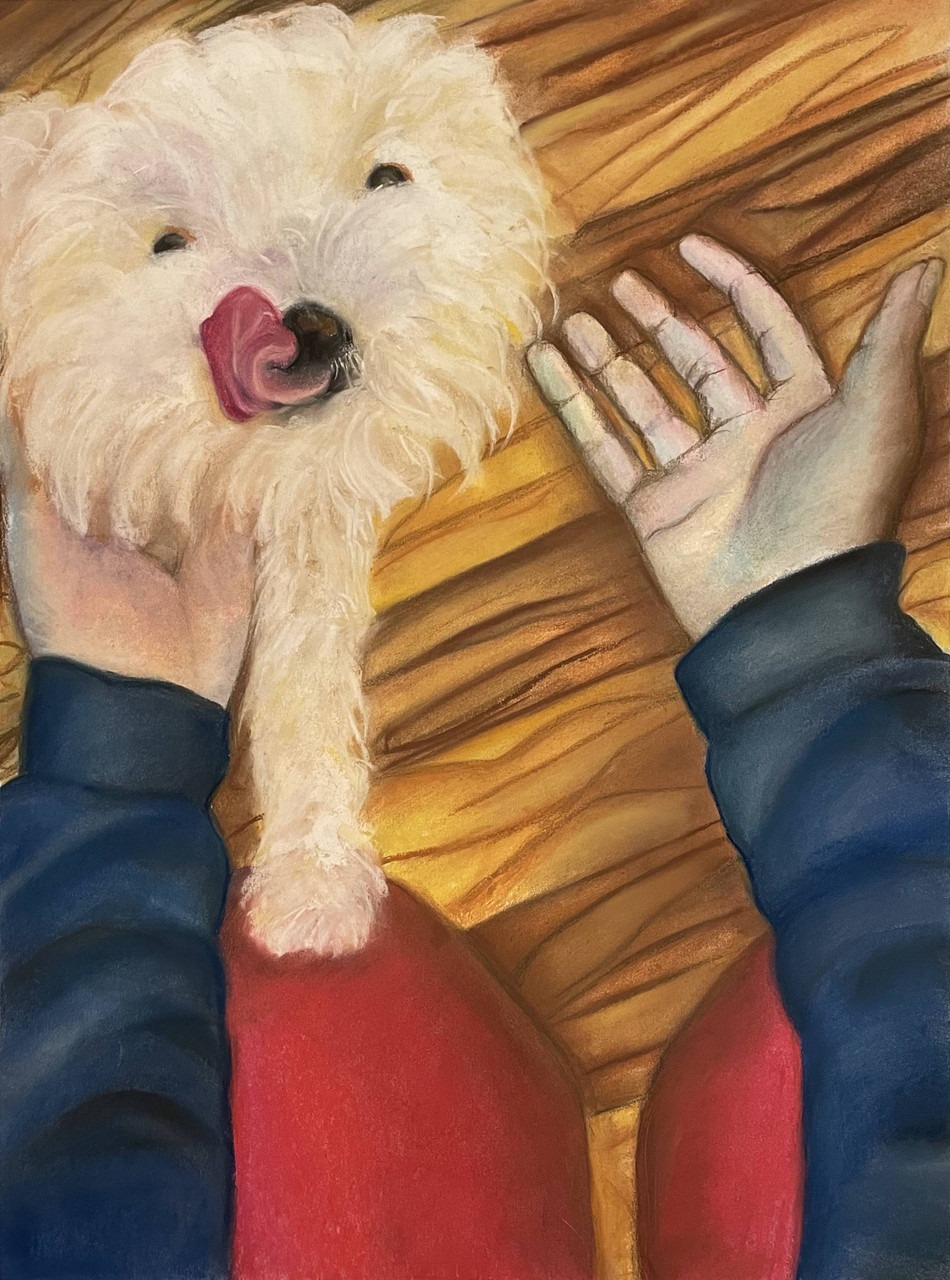 Drawing of a fluffy dog and hand.
