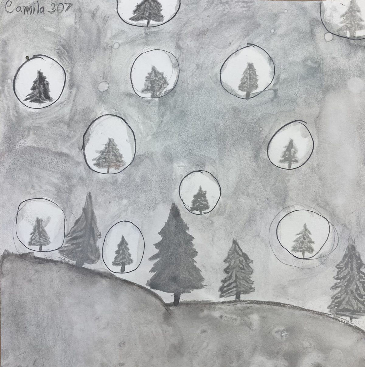 Drawing of a forest and bubbles with trees in them floating away.