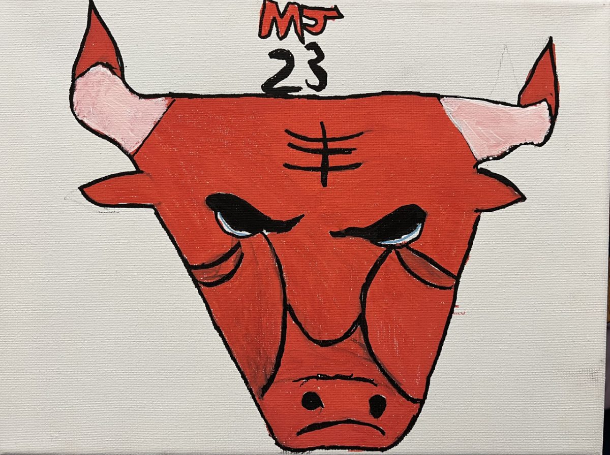 chicago bulls