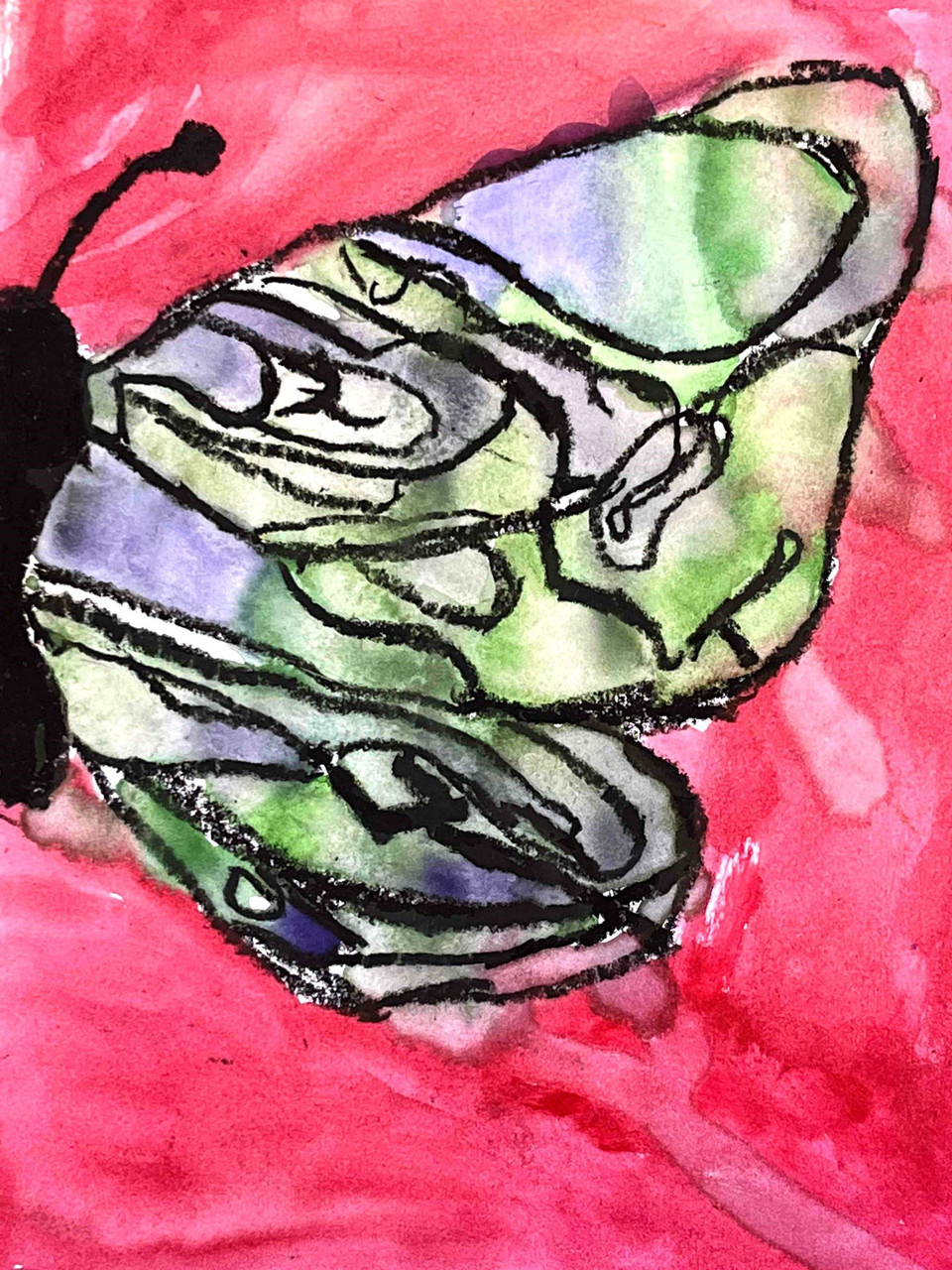 Half of a butterfly with yellow and green wings on a pink background