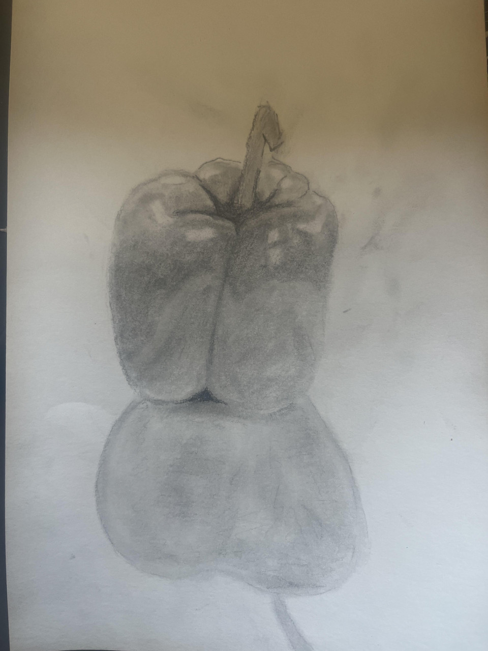 Pencil drawing of a bell pepper.