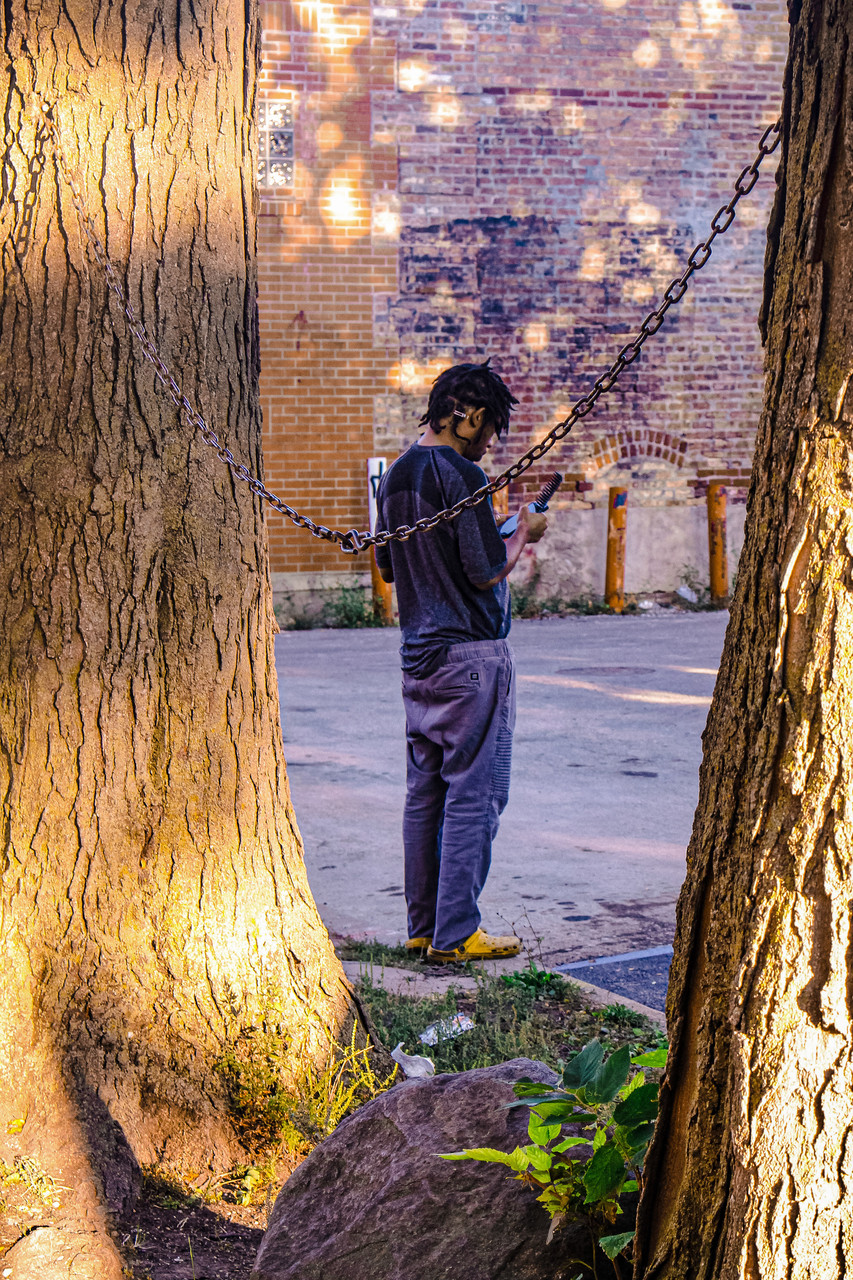 Photo with a person in between trees.