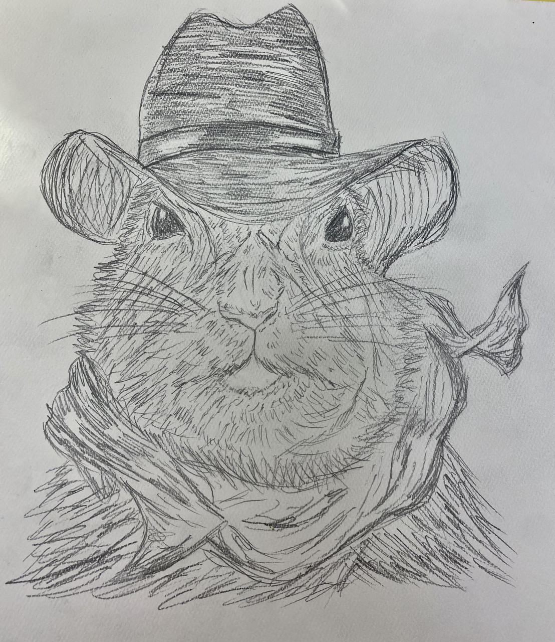Pencil drawing of a rat in a cowboy hat with a bandanna tied around its neck.