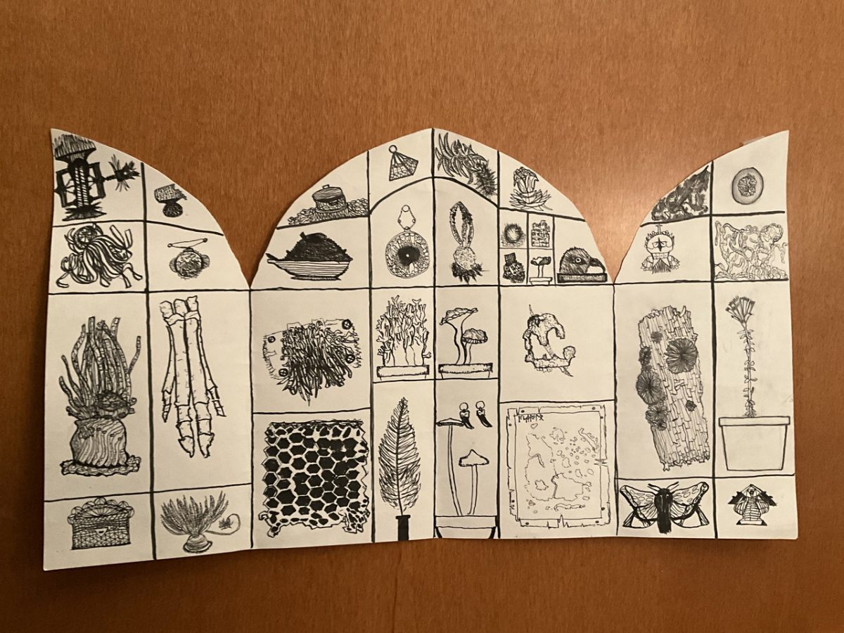 An opened up cabinet filled with plants, bones, insects and other symbols.